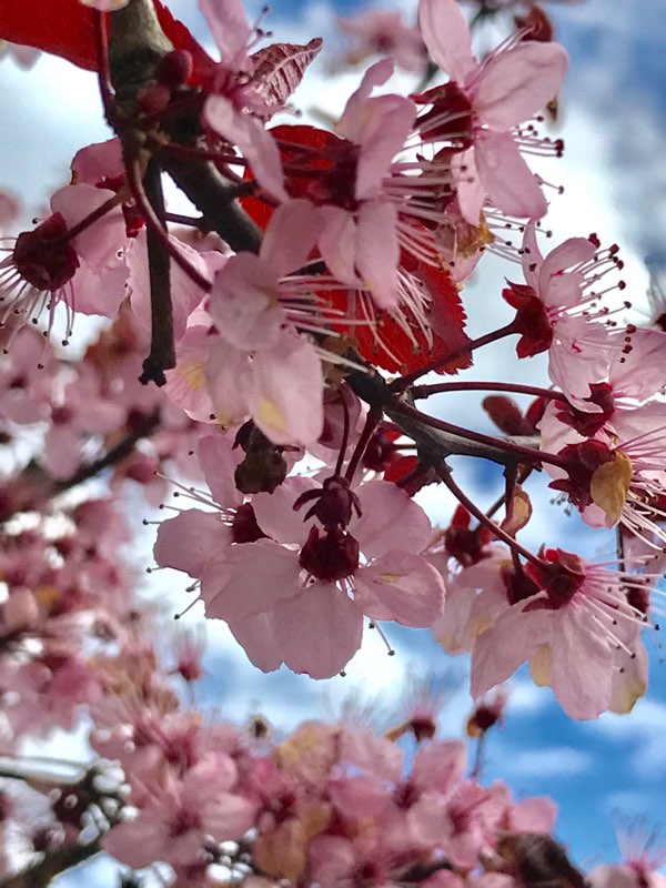 Make Room for New&nbsp;Beginnings